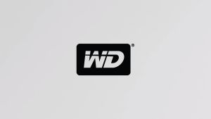 Western Digital WD My Book&Mybook Duo 3.5 Desktop External EXT HDD Hard Drive (4TB|6TB|8TB|10TB|12TB|14TB|16TB|18TB|20TB|22TB|44TB)