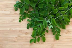 Daun Kelor fress herbal 100 gram
