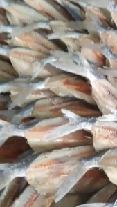 Dried Flying Fish (Medium-Large)