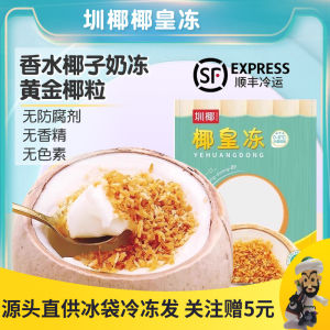 Specialty Hainan Gold Coconut Pudding Snack Dried Coconut Slices Coconut Milk Flavor Dessert Popular Online Coconut Egg