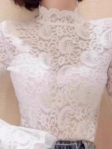 chaqi | Semi High Collar Lace Mesh Ruffle Velvet Fitted Top