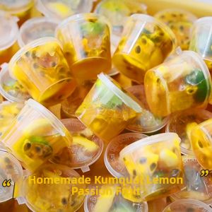 LANYUEXING | Disposable Ice Tray Freezing Box for Fruit and Lemon
