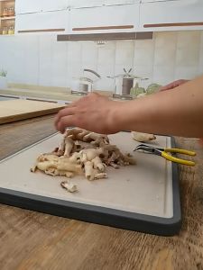 Tang Hidung Jarum Kaki Ayam Gunting Cukur Tulang Clip Ayam Tanpa Tulang Tangtulang