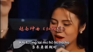 Kuai- 越南神曲歌曲U盘 音乐U盘 Vietnamese Songs U Disk WAV + 170MP3 Digital Music