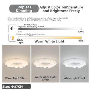 Modern Minimalist Ceiling Light