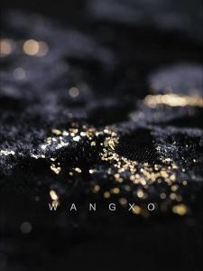 WANGXO | Embroidered Golden Mesh Cheongsam Dress
