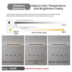 Designer LED Chandelier Modern