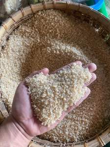 BERAS SINGKONG 1Kg/1000g | TIWUL | NASI OYEK | NASI SINGKONG RENDAH GULA MURAH