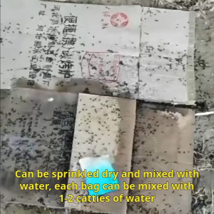 Buy 10 Get 10 Free Fly killer powder spray odorless Effective Fly Control Harmless to human body for Home Kitchen Restaurant flies killer powder Fly Killing Bait Mosquito killer Fly Trap Catcher Flies Killer Anti Fly Clear Pest Control