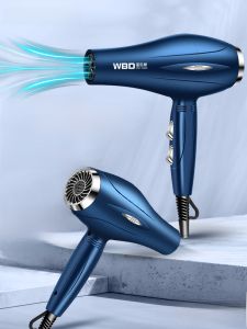 Hair Stylist Hair Salon Hair Dryer High Power For Home Heating and Cooling Air Dormitory Quick-Drying Wind Hair Care Mute Hair Dryer Static