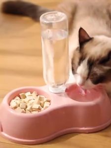 Tempat Makan Kucing Otomatis 2in1 Mangkok Double Free Botol Minum Anti Licin Anti Semut 2 in 1 Mangkuk Kotak Makanan Aksesoris Hewan Peliharaan PTT