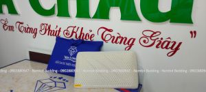 🔥GIẢM5️⃣0️⃣%‼️ Gối nằm cao su Á Châu thiên nhiên cho người lớn giá tốt gối nằm cao su thiên nhiên 100% siêu đàn hồi_HCM - Nemtot Bedding