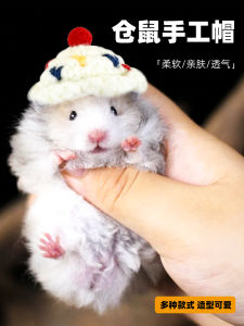 Celebrate the New Year with Adorable Pet Accessories: Djungarian Hamster Head Covers & More