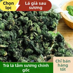 Trà Lá Dâu Tằm Sấy Khô Phủ Băng