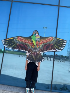 โมเดลเครื่องบินว่าว120cm นกฮูก120cm ประเภทขีปนาวุธไคท์160cm วัสดุผ้าลายตาราง 120cmว่าวเครื่องบิน 120cmว่าวนกฮูก