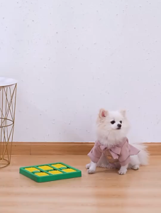 ของเล่นสุนัข ของเล่นหมาแมว ฝึกทักษะ ของเล่นฝึกIQ ใส่อาหารได้ ของเล่นฝึกบริหารสมองสุนัข ของเล่นฝึกบริหารสมองแมว