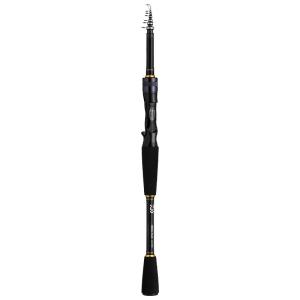 Daiwa | Portable Extendable Fishing Rod for Sea Bass