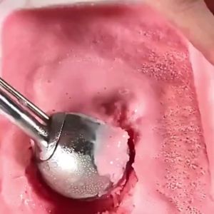 Cookie Scoop with Trigger for Kitchen Family Ice Cream Cookie Cupcake Muffin Meatbal Stainless Steel Ice Cream Scooper