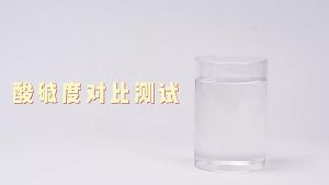 Mùn Dừa Nén Lót Chuồng Cho Rùa Bò Sát Hãng Yee