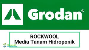 Rockwool Media Tanam Hidroponik Grodan Original 1 Ball Isi 12 Slab