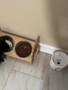 Adjustable Heightened Cat Bowl Stand for Small Dogs and Cats Sturdy Wooden Pet Food Feeder with 2 Stainless Steel Bowls