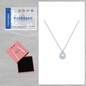 QMSV | Luxury Glitter Necklace S925 Silver