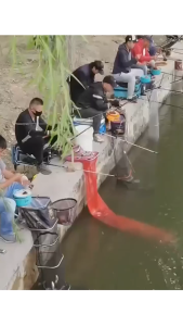 100ML Amisan Umpan Ikan Mas Universal Cairan Umpan Ikan Segala Jenis Ikan Kualitas Tinggi Esen Semua Jenis Ikan