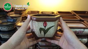 Pot Keramik Bonsai dan Tanaman Hias Segi Enam Medium
