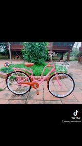 Xe Đạp Mini Phoenix Wahama Thời Trang Size 24-26"inch Xe Đạp Phoenix Hợp Kim Thép Xe Đạp Cho Trẻ Em Từ 8 Tuổi - Lazada