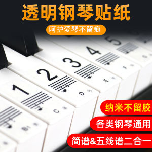 Nano No Glue Left 88 Key 61 Key Piano Electronic Keyboard Keys Plate Transparent Sticker Staff Scale Simple Spectrum Keys Sticker