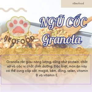 Ngũ cốc dinh dưỡng 500g không yến mạch