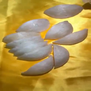 纯天然燕窝 7g - 10g 5A | Birds Nest | 100%无任何添加剂