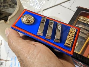 Pin Bros Pangkat Dis Hub honorer S1