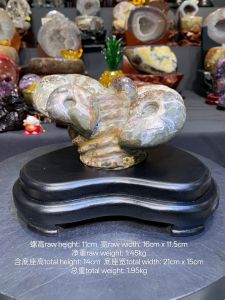 #johorbahru #crystal 天然玉化菊螺💯 过亿年玉化 风水6号 🆓附送特制实木底座 Natural Jadeized Chrysanthemum Conch 💯 Over a Hundred Million Years of Jadeization Feng Shui No. 6 🆓 Includes a Special Solid Wood Base  📍Johor Bahru 区可自行取货或邮寄服务螺高  raw height: 11cm  宽raw width: 16cm