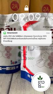 เคลวิน 250 กรัม ไอซีพีลัดดา ควินคลอแรก Quinclorac 50% WP กำจัดวัชพืชประเภทใบแคบในข้าวนาหว่านน้ำตม หญ้าใบแคบในนาข้าว นาข้าว หญ้าข้าวนก หญ้านกสีชมพู หลังหว่านข้าว15วัน