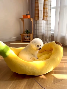 ที่นอนแมว ที่นอนสุนัข ที่นอนกล้วย ที่นอนสัตว์เลี้ยง สุนัข หมา แมว เบาะแมว เบาะหมา เบาะกล้วย ซักทําความสะอาดได้