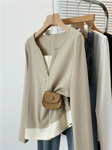 Color Block Fake Two-Piece Long Sleeve V-Neck T-Shirt Womens Loose plus Size Casual Cotton Top for Early Autumn