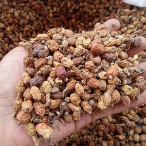 Buah laos atau buah laza 100 gram