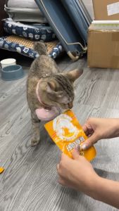 YTL อกไก่แมว อกไก่นึ่ง อกไก่คลีน อกไก่ต้ม 40 กรัม พร้อมรับประทาน หนึ่งซองต่อวัน อาหารเปียกแมว ขนมหมา ขนมแมว