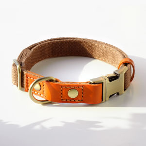 JINLINGJIE | Personalized Small Dog Collar