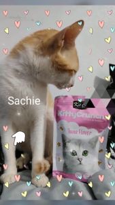 Kitcat Kitty CRUNCH Cat Treats Cat Snack Cat Food Cat Pet Essentials 60g