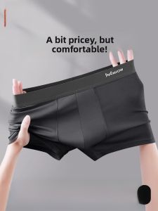 miiow | Mens Modal Briefs Cool Sensation Flat Angle Underwear Thin Antibacterial Summer Shorts MiiOW Cat Person Simple Style Mid Waist