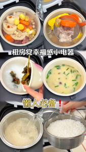 SG【ReadyStock】Zemkon Double-Function Electric Rice Cooker Portable Size Quick Meal Cook