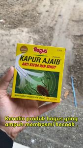 Bagus kapur barus ajaib pembasmi serangga semut kecoa per kotak
