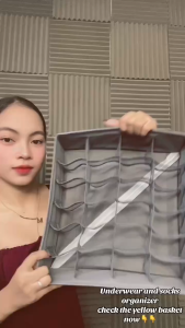 6/8/24 Grids Underwear Storage Box Fabric Drawer Wardrobe Closet Divider Organizer Panty Bra Socks Organizer Cabinet