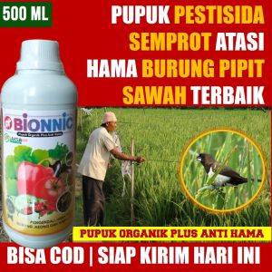 (TERBAIK) BIONNIC 500 ML PEMBASMI HAMA BURUNG PIPIT/ EMPRIT BONDOL PADI SAWAH TERBAIK - Pupuk Organik Cair Pembasmi Hama Burung Emprit/Pipit Padi Sawah Paling Laris 100% ASLI ORIGINAL Ampuh Membasmi HAMA Burung Emprit/Pipit dan Burung Lainnya di Sawah