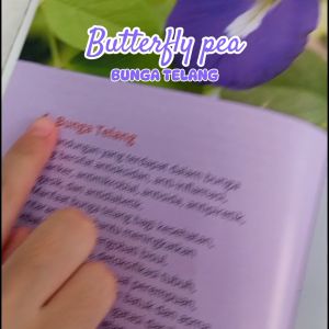 BUNGA TELANG KERING / BUTTERFLY PEA 100% ASLI ALAMI KUALITAS PREMIUM GRADE A uk. POUCH & SACHET