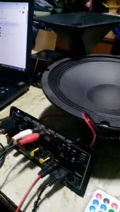 12V/24V/220V Digital Bluetooth Hifi Stereo Amplifier Board Subwoofer Dual Microphone Karaoke Amplifiers For 8-12 Inch Speaker