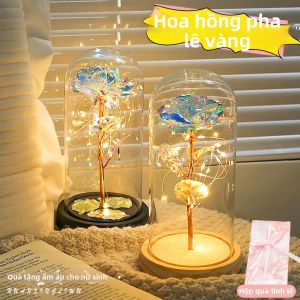 Bó Hoa Hồng Vĩnh Cửu Quà Tặng