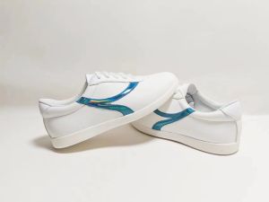 Dragon Punch New Competition Wushu Shoes Y Model Colorful Performance Routine Training Kung Fu Shoes for Men And Women